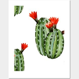 Cactus texture Posters and Art